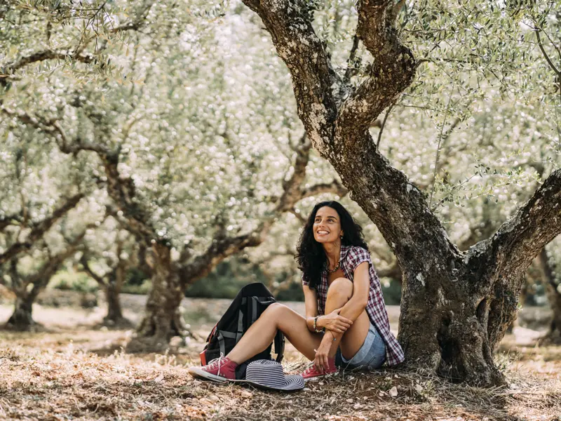 Während unserer Singlereise auf Kreta führt uns eine kurze Wanderung durch Olivenhaine.