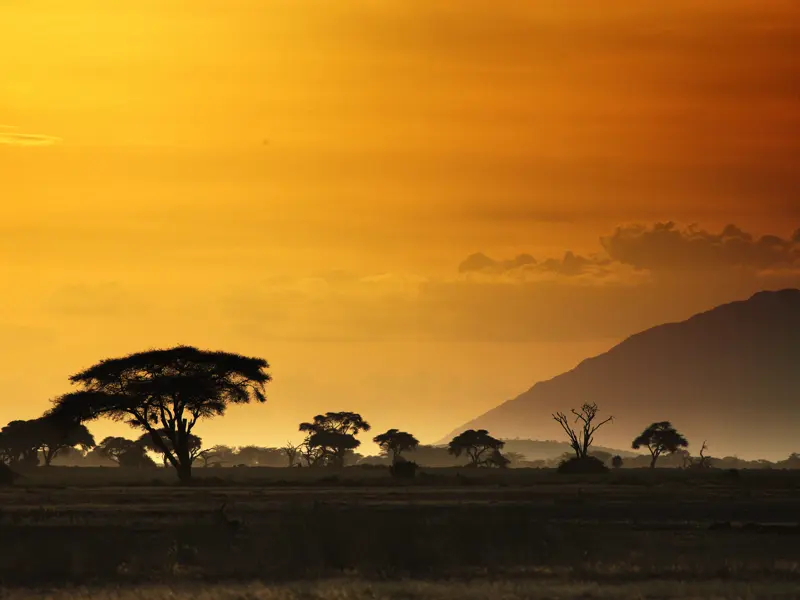 Die Schönheit der Natur überwältigt uns auf unserer Studienreise nach Kenia.
