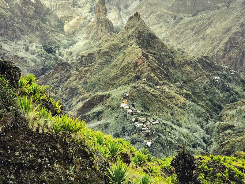 Bei unserer Wanderstudienreise auf die Kapverdischen Inseln erleben Sie auch die beeindruckende Berglandschaft der Insel Santo Antao. Hier kleben die Bergdörfer wie Vogelnester an den Hängen der Vulkanberge, die mit Agaven bewachsen sind.