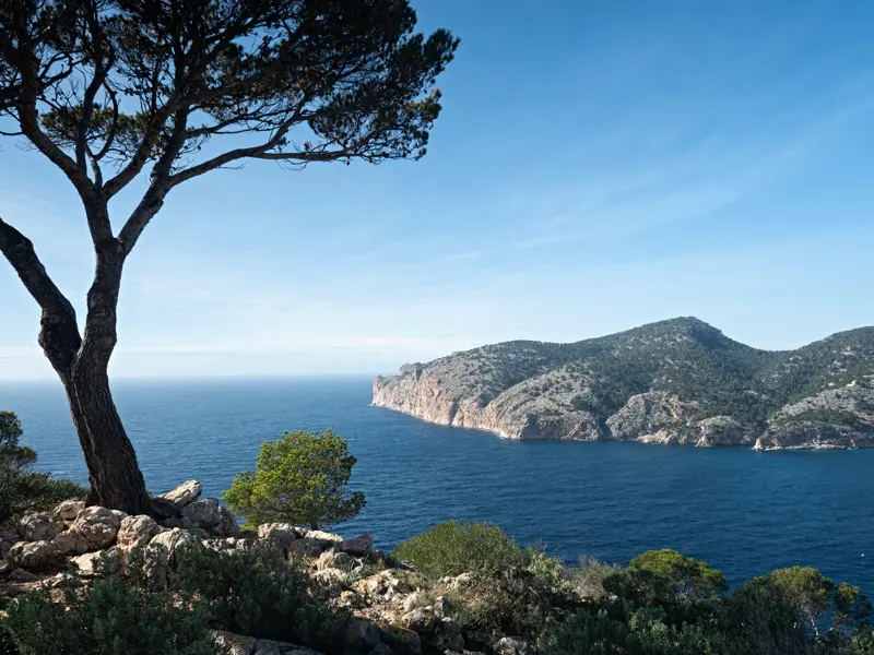 Auf den Wanderungen auf unserer Studiosus-Reise nach Mallorca entdecken wir die schönsten Landschaften der beliebten Ferieninsel. Einige bieten auch die schönsten Aussichten auf die Küste und das Mittelmeer.