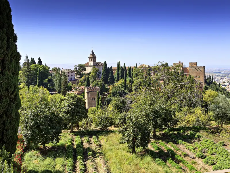 Freuen Sie sich auf ein Highlight unserer Wanderreise in Andalusien: auf den Besuch der Alhambra mit ihren traumhaften Innenhöfen, leuchtenden Kacheln, raffinierten Wasserspielen und den üppigen Gärten des Sommerpalastes Generalife (UNESCO-Welterbe).