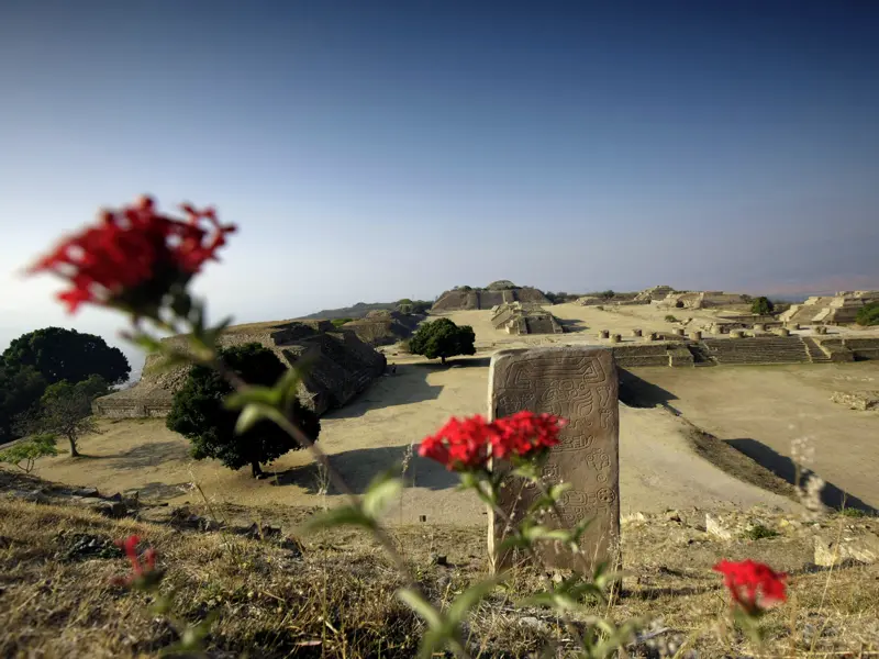 Auf dem Monte Albán lassen wir während unserer Studienreise durch Mexiko den Blick über die Ruinenstätte schweifen und genießen die Aussicht auf Oaxaca im Morgenlicht, bevor wir in die Kultur der Zapoteken und Mixteken eintauchen.