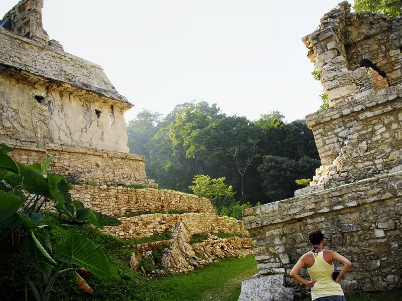 Auf unserer Studienreise durch Mexiko und Guatemala besuchen wir die Ruinen von Palenque in Mexiko am Rande des tropischen Regenwaldes.