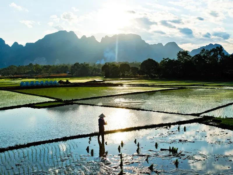 Abendstimmung über den Reisfeldern - ein typisches Bild auf dieser 14-tägigen Studienreise durch Vietnam.
