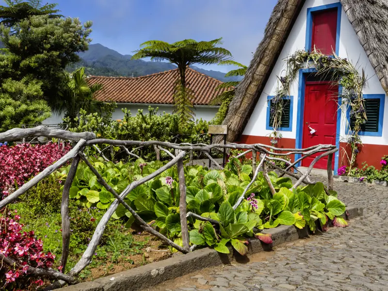 Auf der Studienreise mit Muße nach Madeira -  können Sie Ihre Reiseleiterin zu einem Ausflug nach Santana begleiten. Dort stehen wunderliche bunte Häuschen, deren Strohdächer fast den Boden berühren: Die traditionellen Casas do Colmo erinnern viele Besucher an Asterix-und-Obelix-Comics.