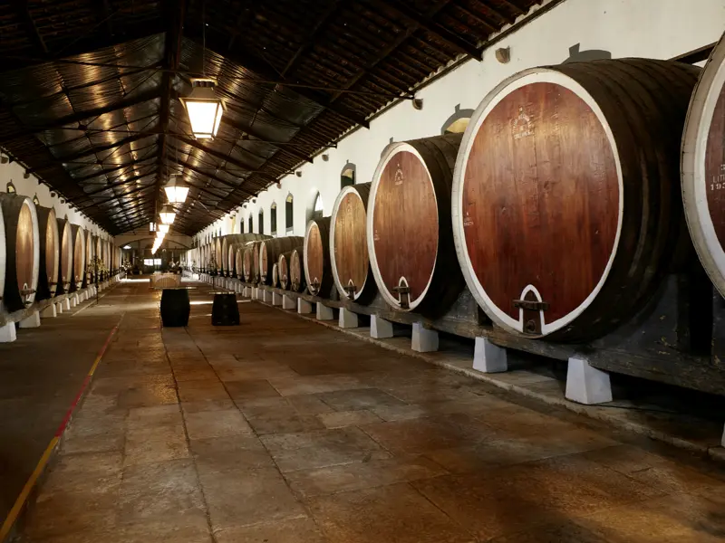 In der Provinz La Rioja, Spaniens berühmtester Weinregion, probieren wir auf unserer Rundreise durchs Baskenland in einer Bodega, was in den Eichenfässern reift.