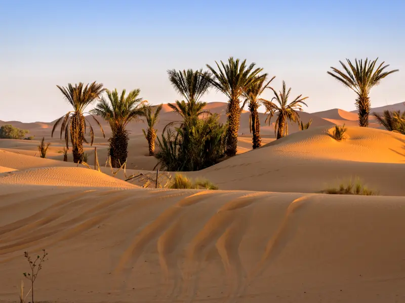 Auf unserer Rundreise durch Marokko erleben wir den Zauber der Wüste.