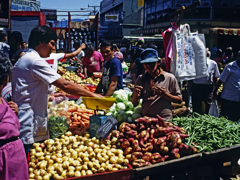 Auf unserer smart & small-Reise durch Costa Rica besuchen wir den Bauernmarkt in Zapote - nur eine von vielen Gelegenheiten, die leckeren tropischen Früchte zu probieren.
