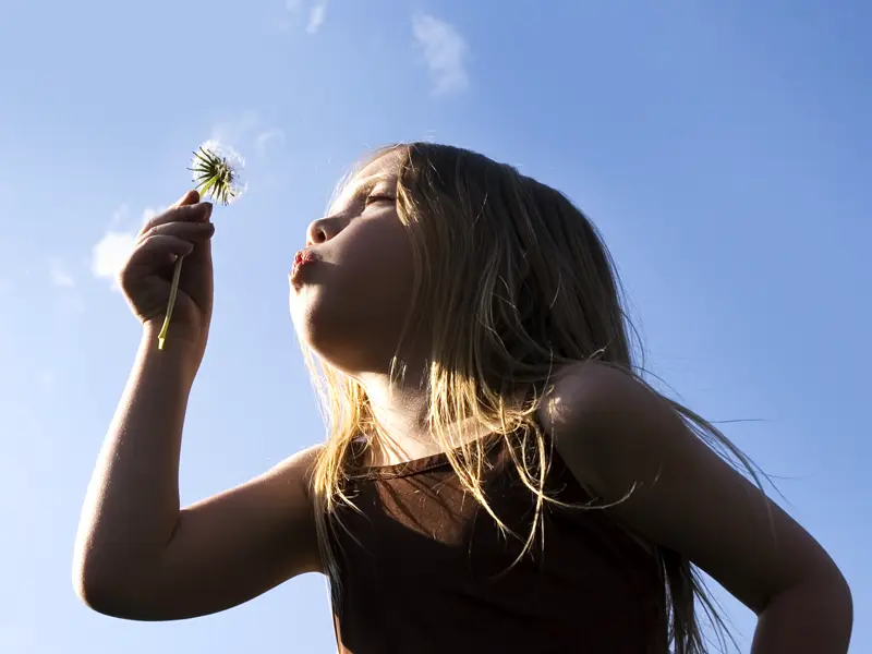 Auf der Familienstudienreise erleben wir Griechenland mit allen Sinnen, so wie dieses kleine Mädchen, das bei strahlendem Himmel mit einer Pusteblume spielt.