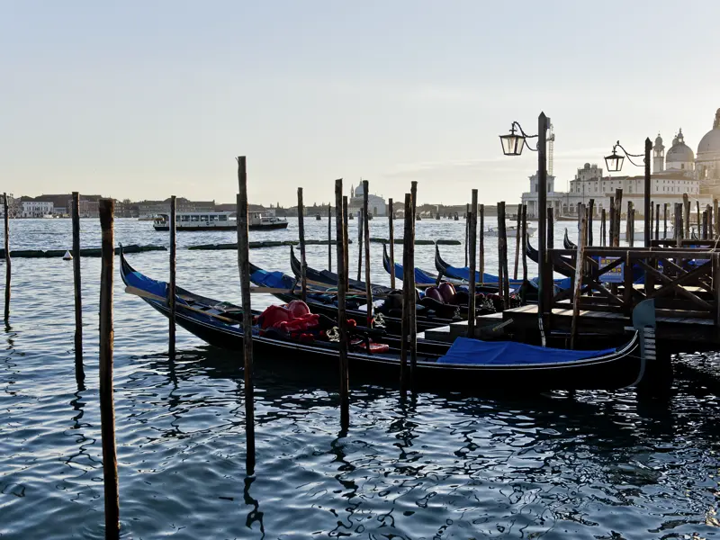 Auf unserer CityLights-Städtereise nach Venedig entdecken wir versteckte Gassen und Plätze und genießen immer wieder herrliche Ausblicke - wie hier den über den Giudecca-Kanal zur Dogana-Spitze mit der Kirche Santa Maria della Salute.