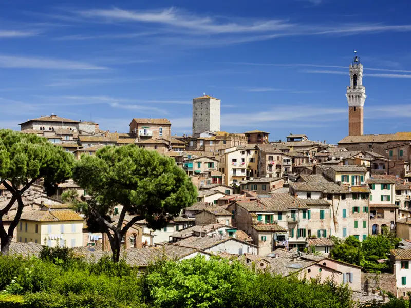 Für viele eine der schönsten Städte der Toskana: Siena - das auch wir bei unserer Singlereise besuchen.
