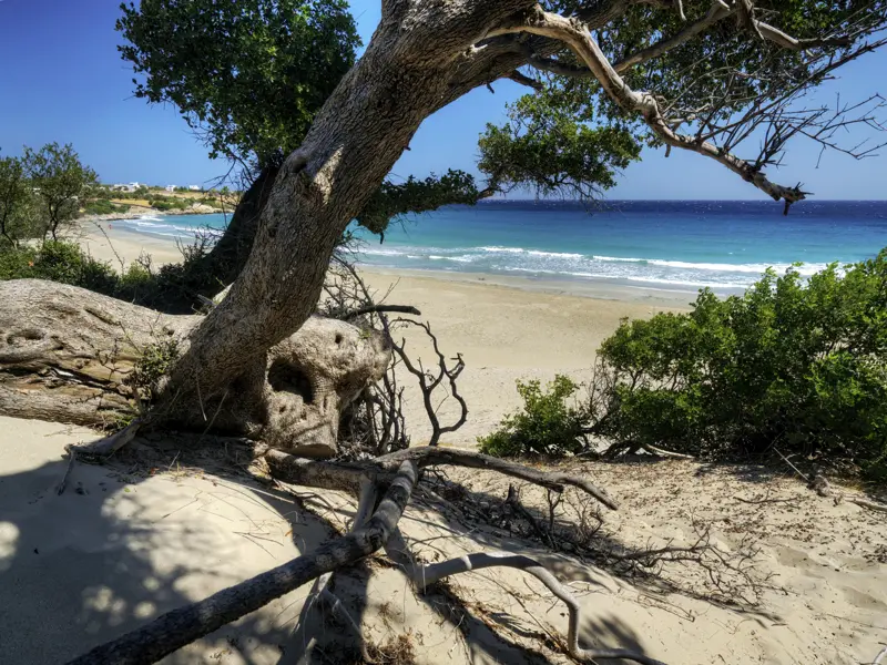 Auf Naxos bleibt immer wieder Zeit zum Entspannen an schönen Sandstränden.