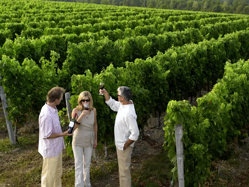 Bordeaux steht für Wein wie wenige andere Orte der Welt: Auf unserer Reise gehört eine Weinprobe selbstverständlich dazu!