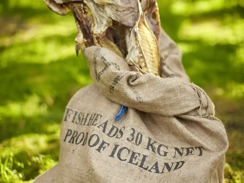 Trockenfisch gehört zu den typisch isländischen Nahrungsmitteln. Auf der smart & small-Rundreise durch Island haben Sie auf jeden Fall die Möglichkeit, diese Delikatesse zu probieren.