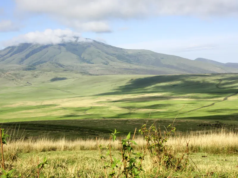 Bei unserer Studienreise nach Tansania kommen Sie auch in den Bereich des Ngorongoro Kraters