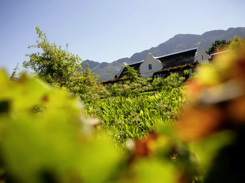 Auf unserer Rundreise durch Südafrika probieren wir auf einem Weingut köstliche Tropfen.