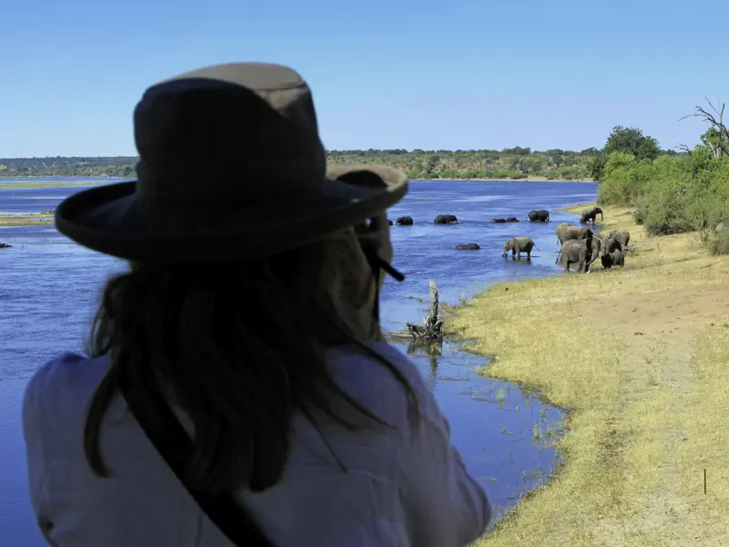 Zwei Wochen lang erkunden Sie mit Ihrem Studiosus-Reiseleiter und in kleiner Gruppe die Naturschönheiten Botswanas und Namibias. Gerade Botswana ist ein Paradies für Elefanten und ihre Fans. Nirgendwo gibt es mehr Elefanten zu bestaunen als im Chobe-Nationalpark.