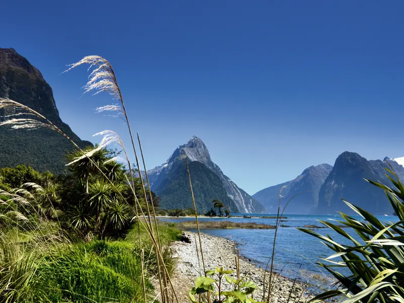 Auf unserer Studienreise durch Australien und Neuseeland erkunden wir natürlich auch den Milford Sound auf der Südinsel Neuseelands. Schroffe Berge, tosende Wasserfälle, glasklare Seen und spektakuläre Fjorde zeichnen dieses UNESCO-Welterbe aus.