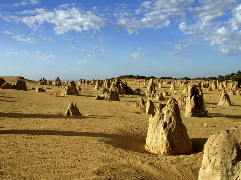 Oft heißt es auf unserer Studienreise Australien - die Große Australienreise: Vorhang auf für eine überwältigende Naturkulisse! So durchqueren wir endloses Buschland und bestaunen im Nambung-Nationalpark in Westaustralien die Pinnacles - Tausende von bizarren Steinsäulen, die aus dem Sand "wachsen".