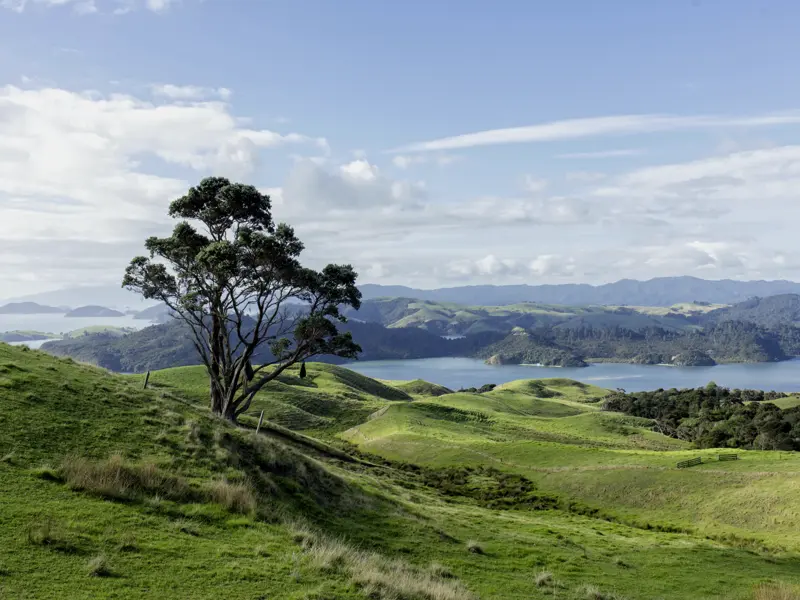 Auf unseren Wanderungen durch die vielfältigen Landschaften Neuseelands genießen wir immer wieder fantastische Aussichten, bei gutem Wetter gelingen spektakuläre Fotografien.