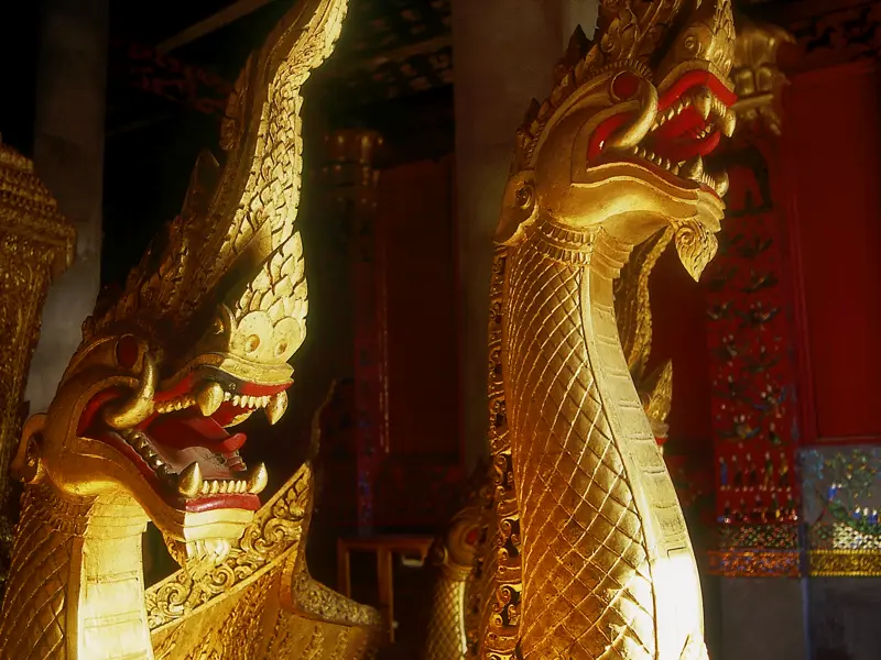 Destination mit goldenen Drachen: Bei unserer umfassenden Studienreise durch Indochina erleben wir im Tempel Wat Xieng Thong in Luang Prabang in Laos magische Momente.
