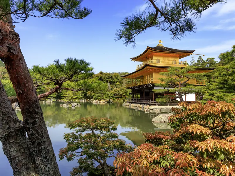 Ein unbestrittener Höhepunkt dieser Studienreise nach Japan ist der Besuch des berühmten Goldenen Pavillons in Kyoto.