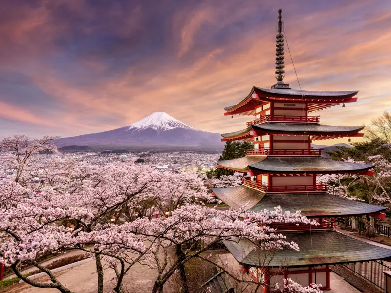 Auf dieser Besonderen Studienreise zur Kirschblüte "Sakura" besuchen wir auch die Chureito-Pagode und können mit etwas Glück den heiligen Berg Fuji sehen.