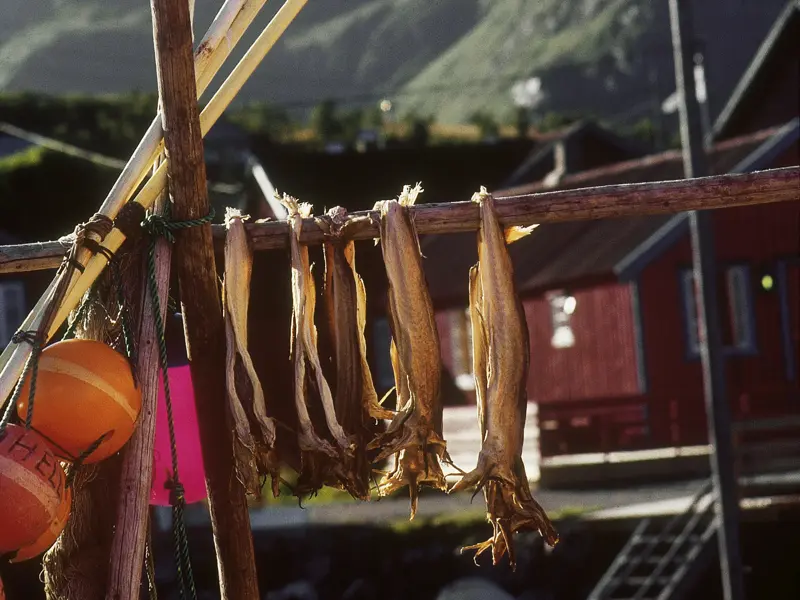 Unzählige Fischerdörfer liegen an der berühmten Postschiffroute, auf der wir während unserer Studienreise Norwegen kennenlernen.