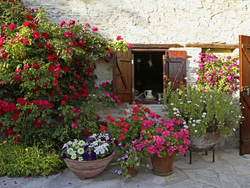Auf unserer Zypern-Reise besuchen wir auch kleine Dörfer und bewundern die gepflegten Häuser mit üppigem Blumenschmuck