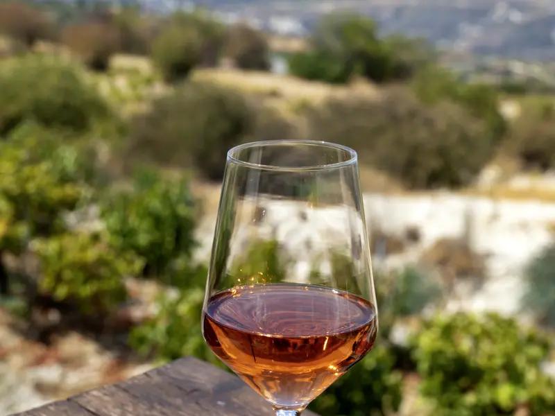 Während unserer Studiosus-Reise auf Zypern erleben wir entspannte Stunden und kosten den sonnengereiften Wein der Insel.