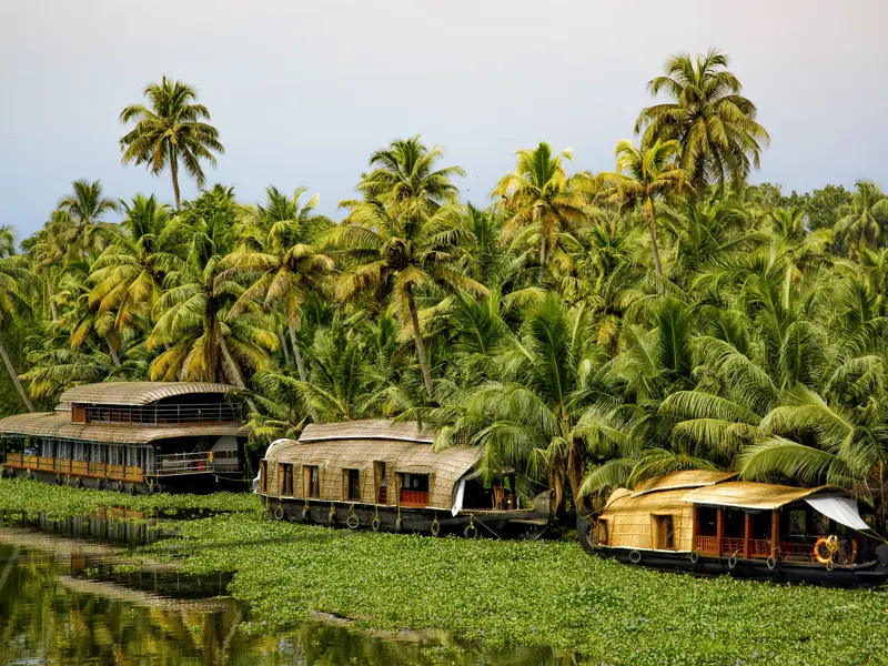 Auf unserer 20-tägigen Studienreise durch Südindien unternehmen wir eine Bootstour durch die Backwaters von Kerala, in denen auch viele Hausboote unterwegs sind.