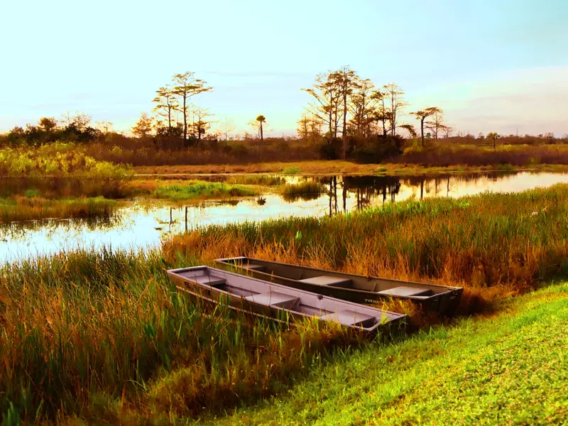 Unsere 15-tägige Studienreise durch die Südstaaten der USA führt auch durch Louisiana mit seinen malerischen Wäldern und Flusslandschaften.