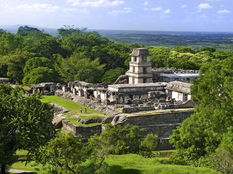 Auf unserer Klassik-Studienreise durch Mexiko, Guatemala und Belize besuchen wir die Mayastätte Palenque, spektakulär am Rande des Regenwaldes gelegen.