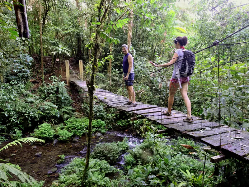 Immer wieder Natur pur auf unserer Rundreise durch Costa Rica, Nicaragua und Panama. Wir spazieren durch den Regenwald.