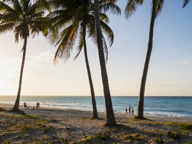 Auf der Insel Cayo Santa María empfängt uns ein erstklassiges Strandhotel. Weißer Strand, kristallklares Meer und karibisches Flair ¿ so traumhaft endet Ihre umfassende Studienreise durch Kuba, bevor es wieder zurück nach Havanna geht.