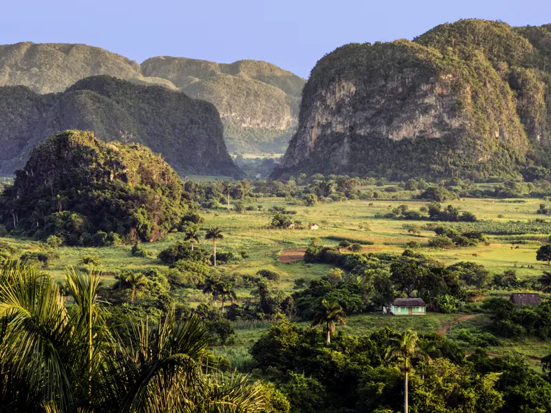 Eine Station der Studienreise durch ganz Kuba ist das Tal von Vinales mit seinen Kalkfelsen. Hier wächst der vielleicht beste Tabak der Welt.