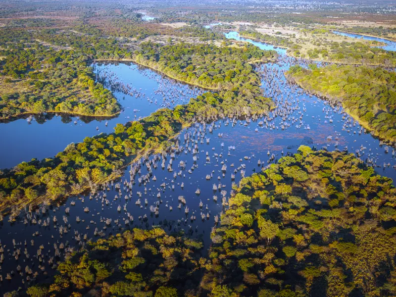 Auf unserer Rundreise durch Botswana fliegen wir von Khwai nach Maun und blicken aus der Luft auf das Okavangodelta.