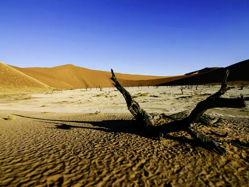 Auf unserer Studienreise nach Namibia darf ein Ausflug in die Namibwüste nicht fehlen!