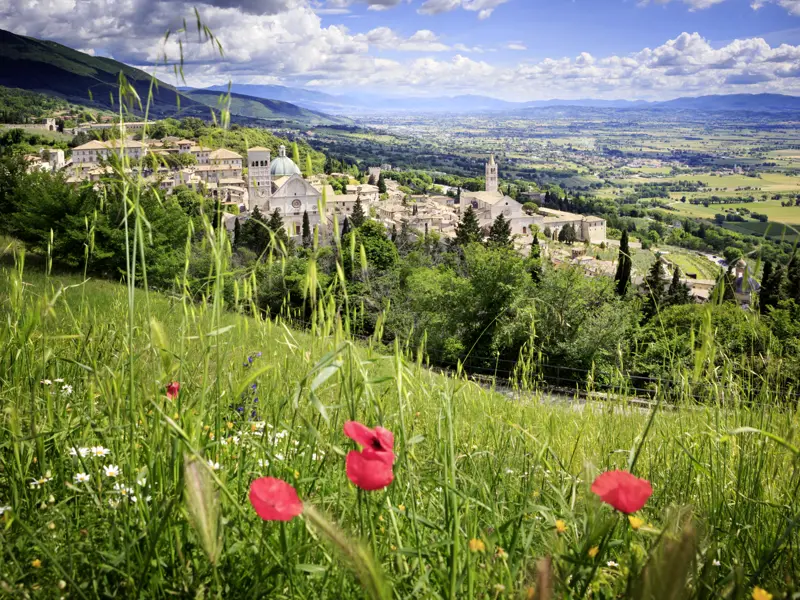 Auf unserer Studiosus-Reise nach Umbrien erleben wir, wie Kultur und Landschaft in dieser Region zusammenfließen, nicht nur in Assisi, einem der Höhepunkte unserer Reise.
