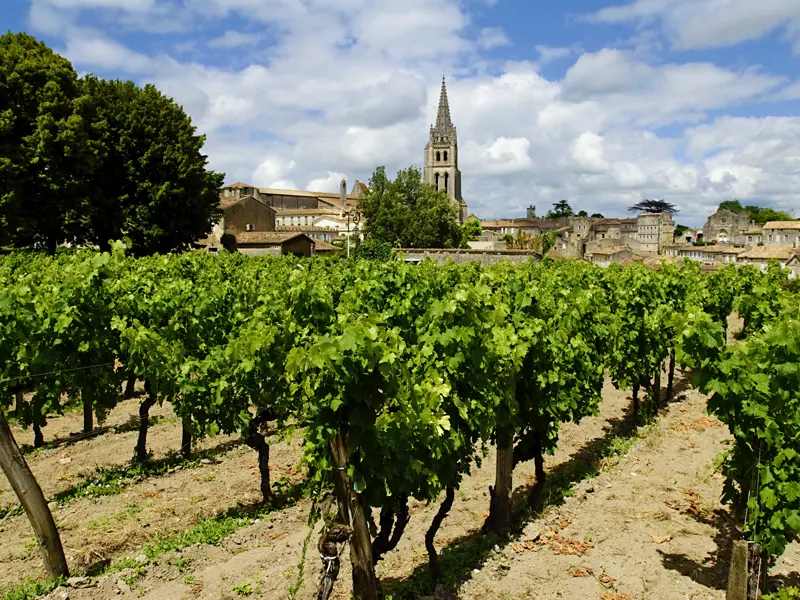 Unsere Studienreise durch Südwestfrankreich führt uns auch in den Weinort St-Emilion (UNESCO-Welterbe), ein Geflecht aus Gassen und Plätzen voller Mittelaltercharme inmitten von Weinbergen.