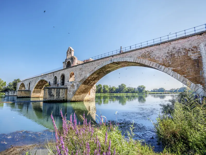 In Avignon sehen wir auf unserer Studienreise durch die Provence die berühmte Brücke, die wir alle schon so oft besungen haben.