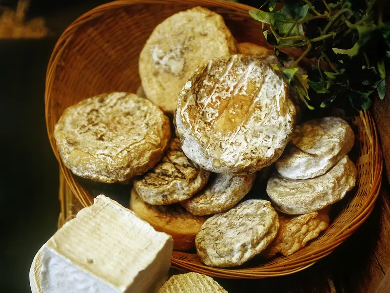 Würzig-aromatischer Epoisse-Käse: Nur eine der zahlreichen Spezialitäten des Burgunds, die wir auf unserer Studienreise in diese Feinschmeckerregion genießen.