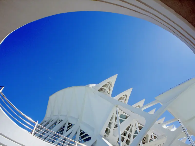 In Valencia bewundern wir während unserer Studienreise die moderne Architektur von Santiago Calatrava.