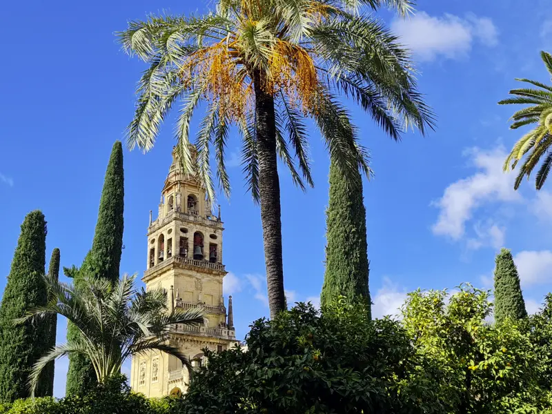 Auf unserer Studiosus-Reise durch Andalusien kommen wir nach Córdoba und hören von unserer Reiseleiterin die Geschichten rund um die drei Weltreligionen Islam, Judentum und Christentum.