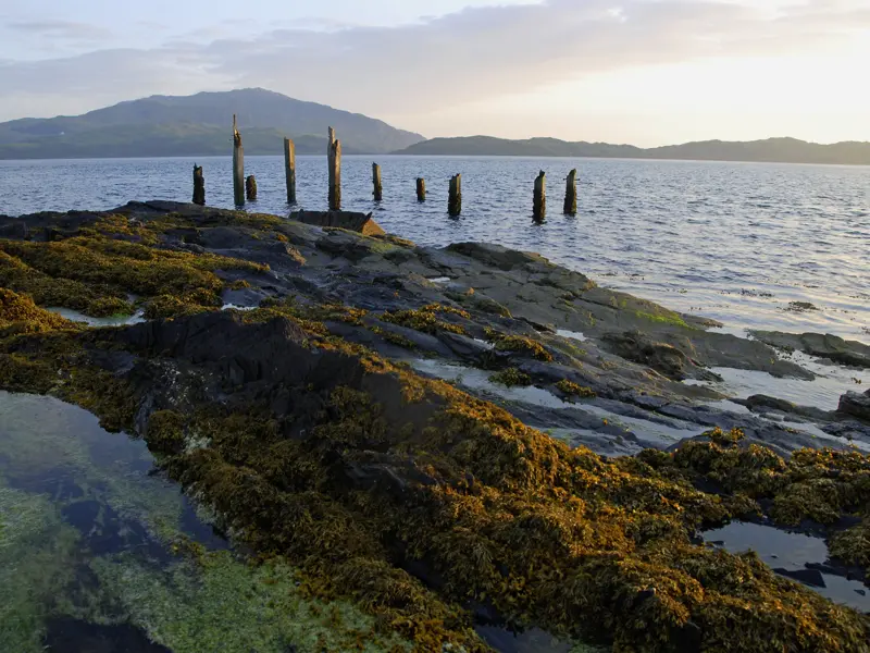 Bei unserer einwöchigen Studienreise nach Schottland erleben Sie unter anderem die wunderschöne Westküste Schottlands und machen einen Abstecher auf die Inneren Hebriden.