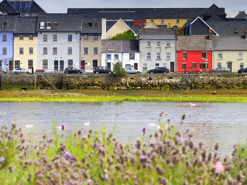 Auf unserer 14-tägigen Wander-Studienreise durch Irland übernachten wir in der Hafenstadt Galway. Die bunten, geduckt wirkenden Häuser sind typisch für den Westen Irlands.