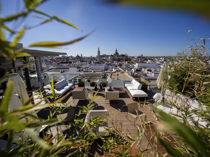 Die Dachterrasse des Hotels Abba Sevilla mit Blick zur Kathedrale. Perfekter Ort zum Entspannen nach einem spannenden Tag mit Studiosus in Sevilla.