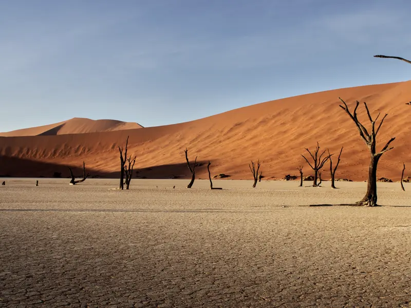 Auf unserer Studienreise durch Namibia erleben wir auch das Sossusvlei mit seiner kargen Wüstenlandschaft.