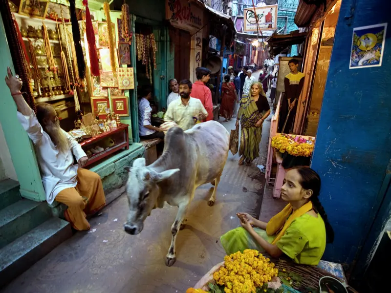 Auf unserer Indienreise spazieren wir durch die engen Gassen Varanasis und genießen die indischste aller indischen Städte.