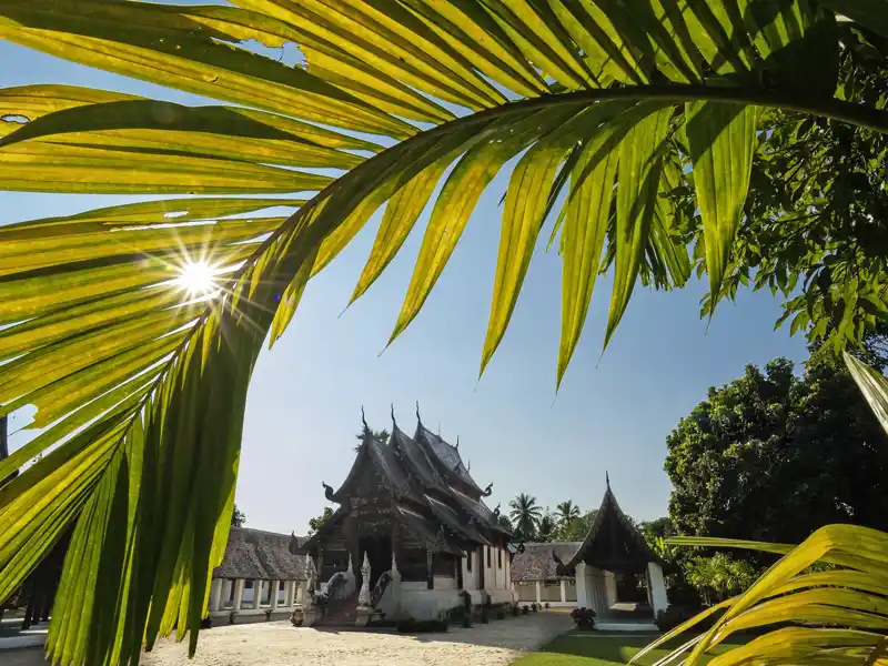 Auf unserer Studienreise Thailand - die umfassende Reise besuchen wir auch viele der Schönheiten im Norden, hier die Tempelanlage Chiang Mai.